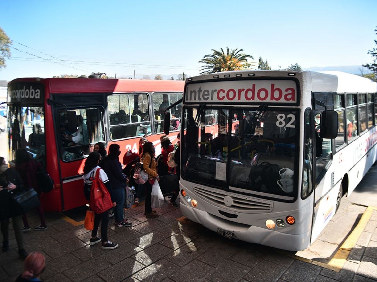 Rige un nuevo protocolo para el transporte público de pasajeros