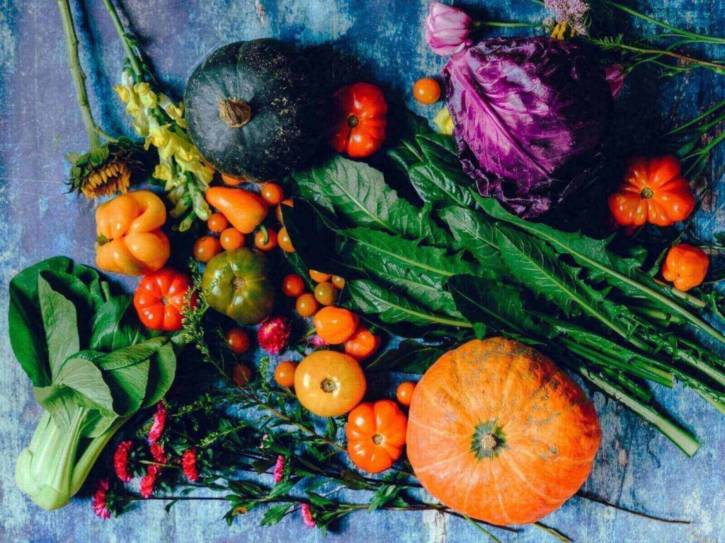 alimentación basada vegetales