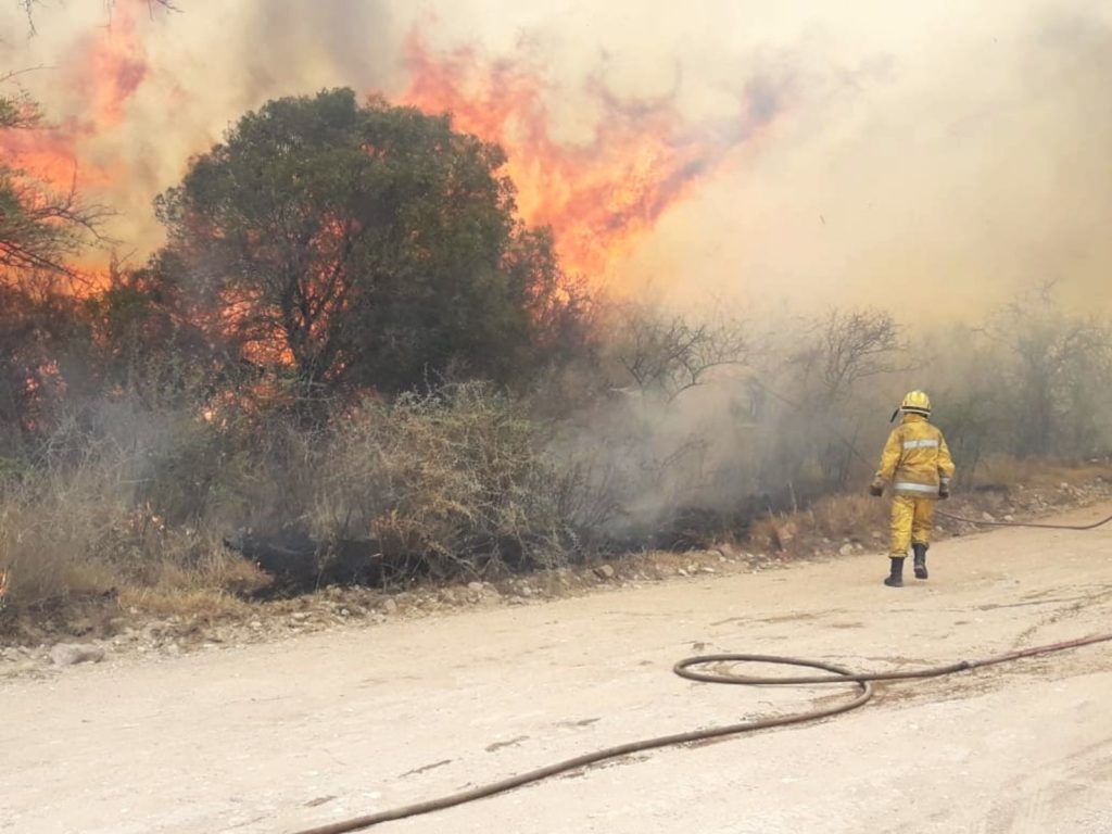 Bomberos combatiendo un incendio forestal.