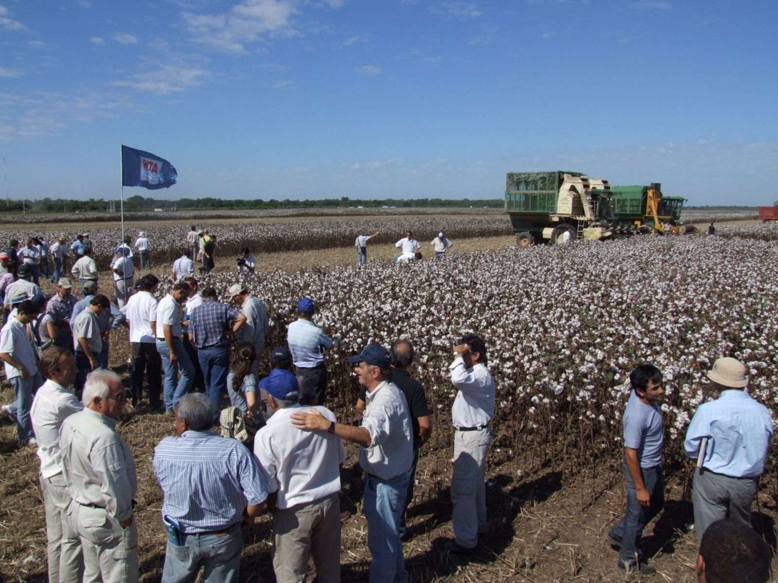 La Justicia de Chaco suspendi las fumigaciones con agroqu micos