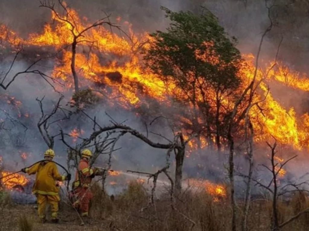 incendios piden declarar emergencia ígnea en la Patagonia