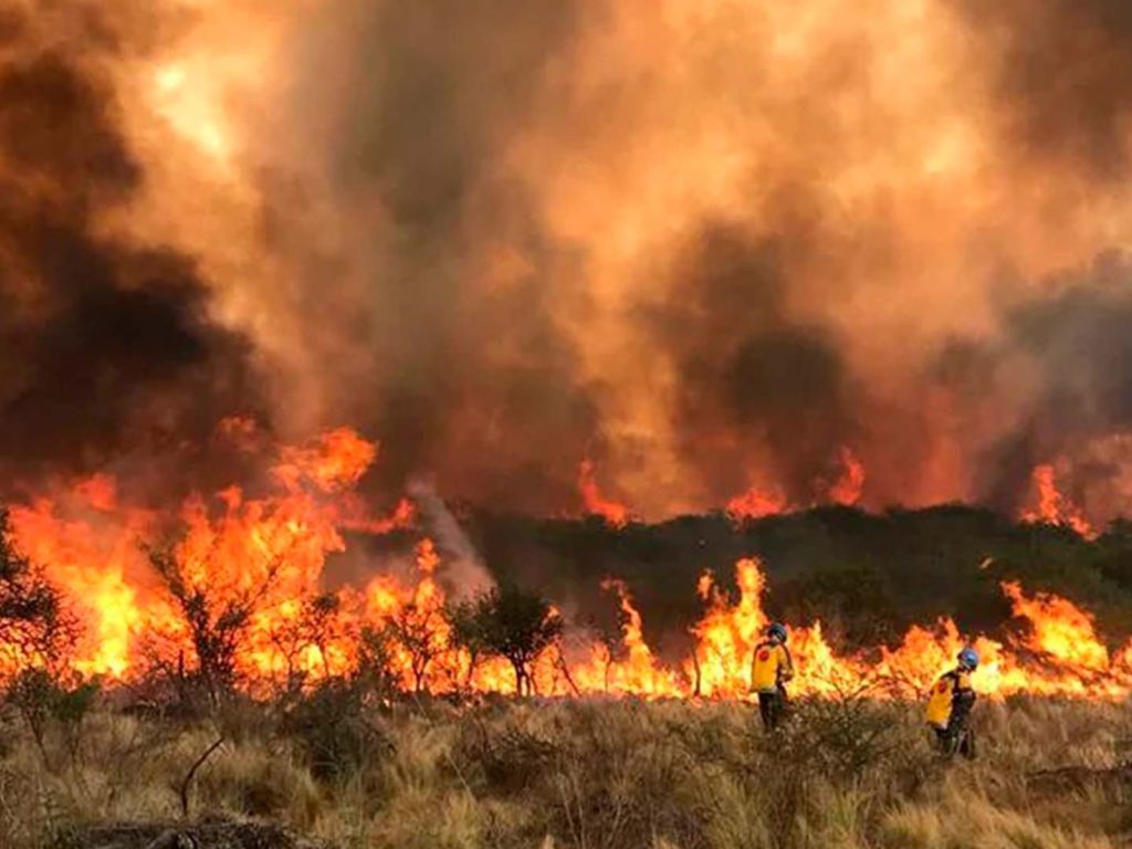 Bosque nativo incendiado en Córdoba