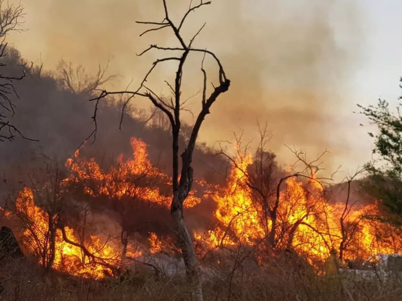 Lograron Contener Todos Los Incendios Forestales En Córdoba El Resaltador 7798