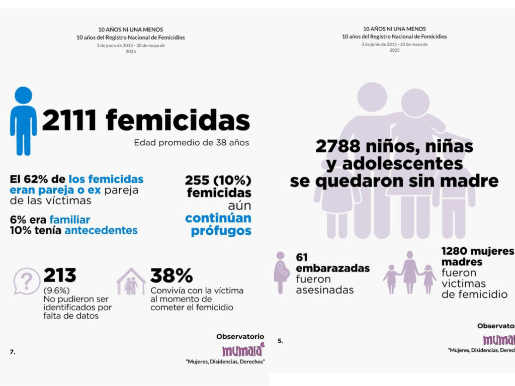 Ni una menos estadisticas