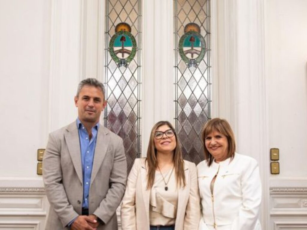 lla es primera minoría en la cámara de diputados