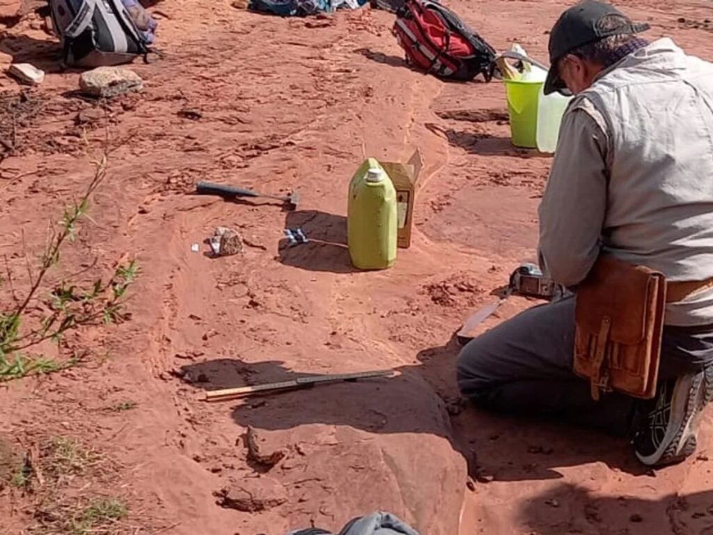 hallazgo histórico para la paleontología cordobesa