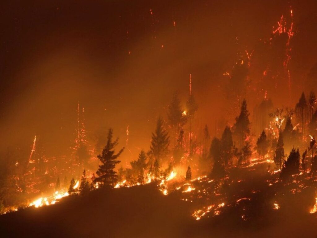 bomberos combaten el fuego en Chubut