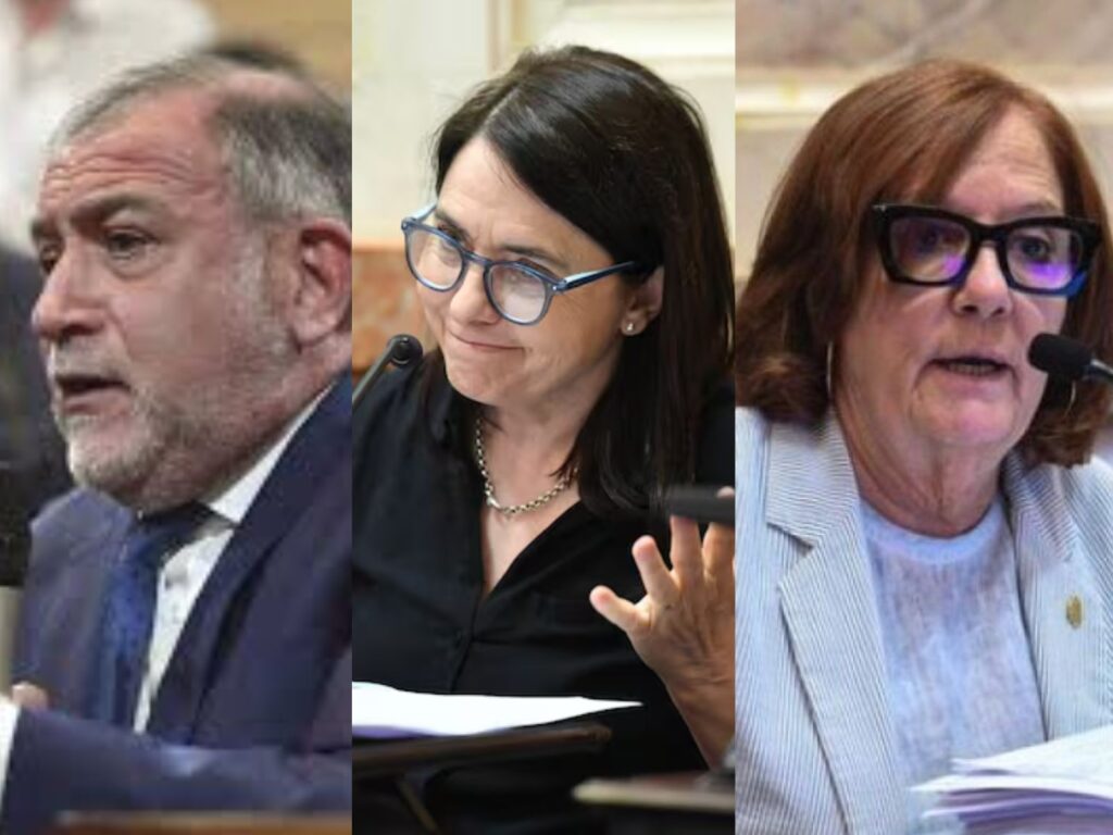 reforma laboral senadores cordobeses luis juez, carmen álvarez rivero y alejandra vigo votan a favor